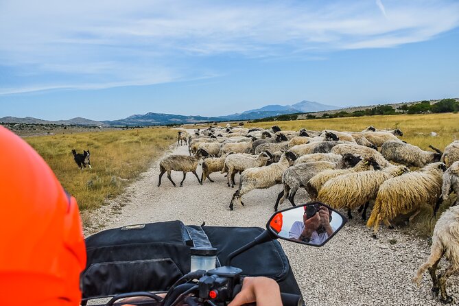 ATV Dinara Mountain tour with picnic - Pace, Group Size, and Guide Style: What It Feels Like in the Real World