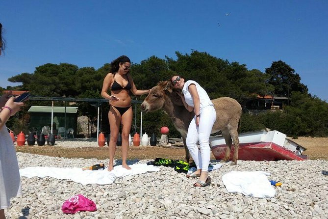 Blue Cave, Hvar and Five islands - Small-Group Tour From Split - Price and value: what $178.84 includes, and what you should budget anyway