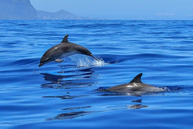 BLUE LAGON & 3 islands full day private speedboat tour - Split to Trogir, Solta, and the Blue Lagoon in One Fast Day