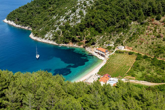 Brac, Hvar, & Solta Day Trip: Snorkeling, Wine & Lunch from Split - The speedboat ride that sets the tone for the day