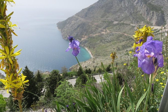 Brela/Omiš - grab the best - Brela Beach Time: Swim, Sun, and the Brela Stone Photo Moment