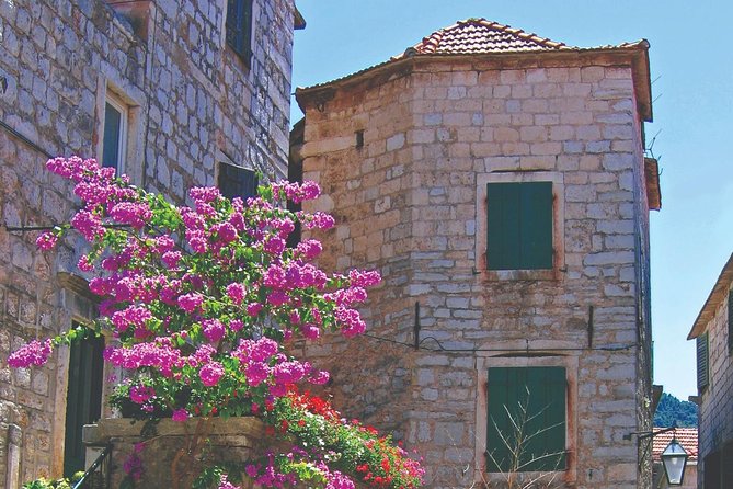 Croatia Island Hopping: Dalmatia from Split (8 days) - Day 7 in Dubrovnik: Lokrum serenity or the Elafiti island day