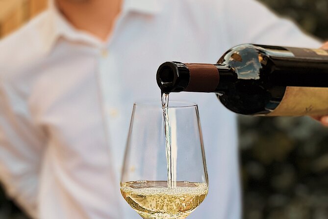 Dalmatian wine tasting by Bottiglia wine & deli - Price and value: is $54.07 fair for 3 wines and a tapas plate?
