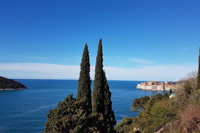 Day Trip to Dubrovnik From Split - Ston stop and oyster tasting: a quick break that tastes like local life