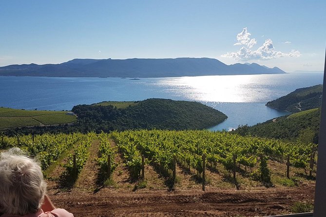 Day Trip to Dubrovnik From Split - Tickets, meals, and the few things you should plan to pay for