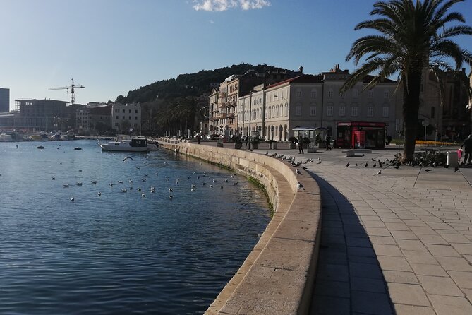 Diocletian's Palace Small Group Tour in Split - Stop 4: Diocletian’s Cellars, the substructures that made Split last