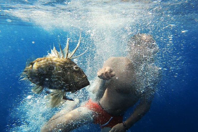FISHING Tour to VIS and BIŠEVO Islands - Full Day Experience - Fishing tackle, snorkeling gear, and license fees are all included