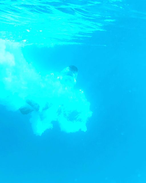 From Split: Blue Lagoon & 2 Islands half-day Private - Should you book this Split private Blue Lagoon tour?