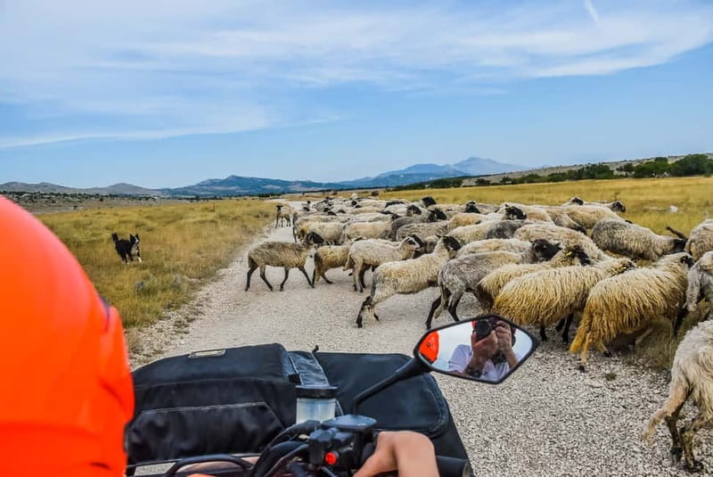 From Split: Full-Day Horse Riding & Quad Biking with Lunch - From Trumbićeva obala to the equestrian club in Ogorje