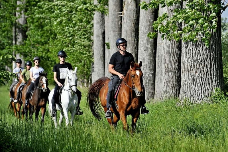 From Split: Full-Day Horse Riding & Quad Biking with Lunch - Transfers, timing, and what the 8 hours feel like