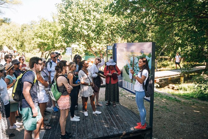 From Split: Krka Waterfalls, Food & Wine Tasting Tour - Plastovo village and Vinery Sladić: wine tasting that feels personal