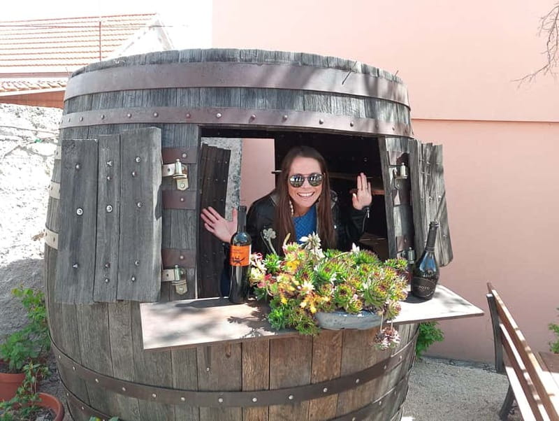 From Split: Krka Waterfalls with Wine & Cheese Tasting Tour - Key Things That Make This Krka Day Trip Work