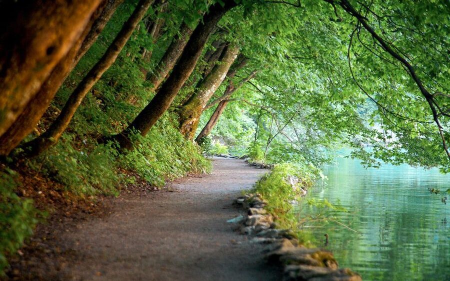 From Split or Trogir: Plitvice Lakes Guided Full-Day Tour - Key Highlights You’ll Actually Feel During the Day