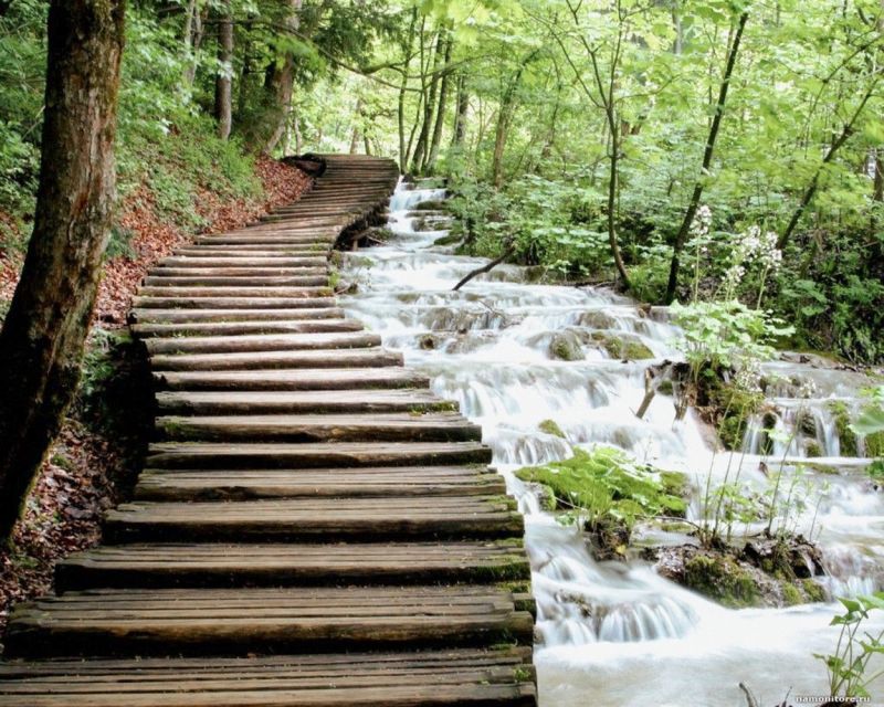 From Split or Trogir: Plitvice Lakes Guided Full-Day Tour - Kozjak Lake Boat Ride, plus How to Time Your Photos