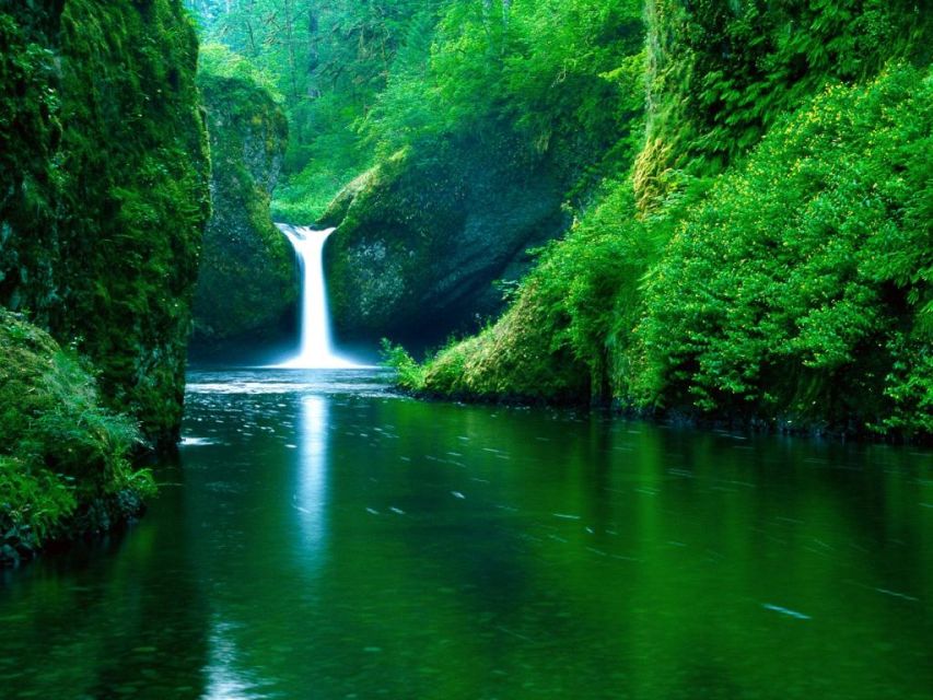 From Split or Trogir: Plitvice Lakes Private Tour - Price and value: is $559 per person actually fair?
