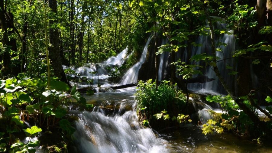 From Split or Trogir: Plitvice Lakes Trip with Entry Ticket - Key highlights at a glance