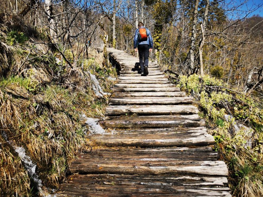 From Split: Plitvice Lakes Full-Day Trip - Entering Plitvice Lakes: lower lakes, wooden trails, and those impossible colors