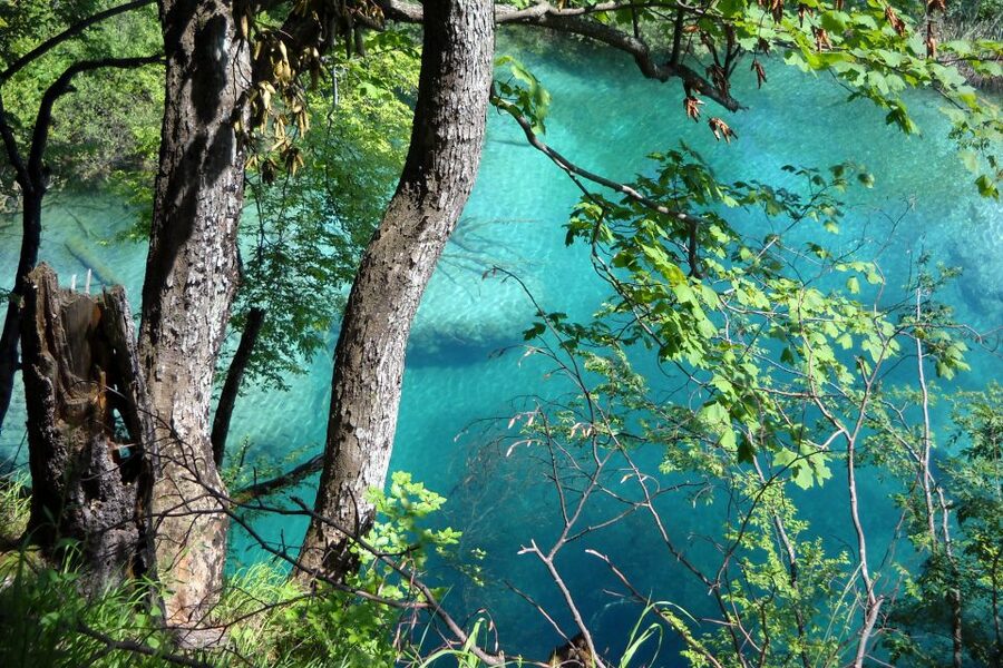 From Split: Plitvice Lakes Fully-Guided Day Tour - The Split Riva Meeting Point: Where Your Day Starts Smoothly