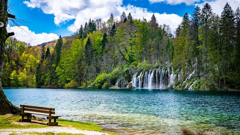 From Split: Plitvice Lakes Guided tour - Inside the park: how the guided entry changes your experience