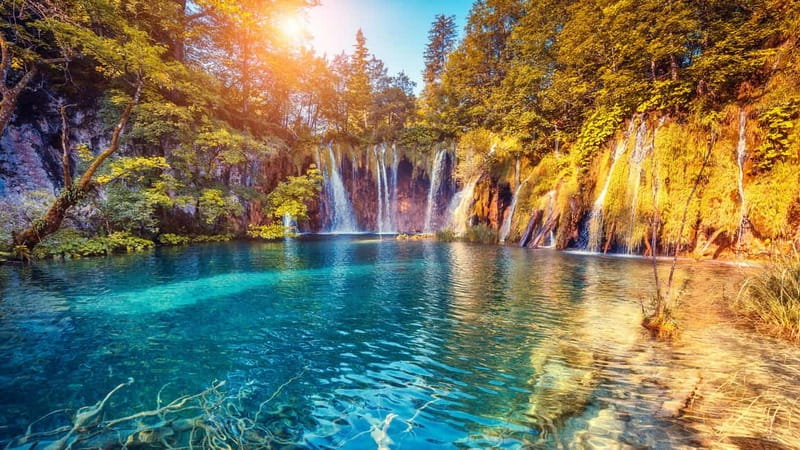 From Split: Plitvice Lakes Guided tour - The panoramic train ride: a clever finish after a long day