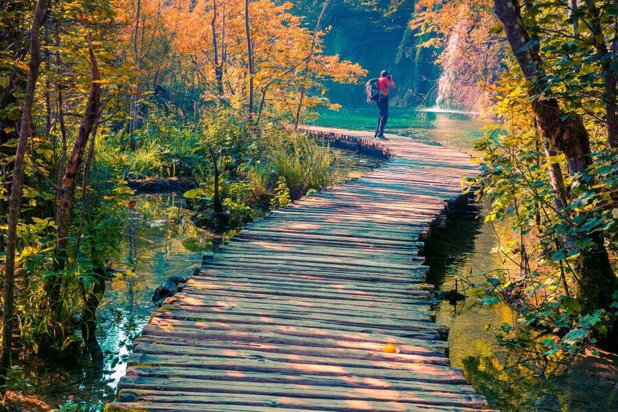 From Split: Plitvice Lakes Guided Tour with Entry Tickets - Price and value: what your $38 is really covering
