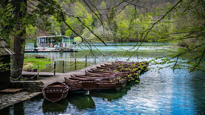 From Split: Plitvice Lakes Guided tour - The drive through Dalmatia and Lika: time used well