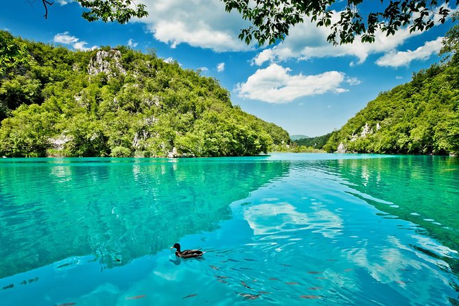 From Split: Plitvice Lakes National Park Guided Tour - Your Guide Makes the Difference, from Sanja to Lovro