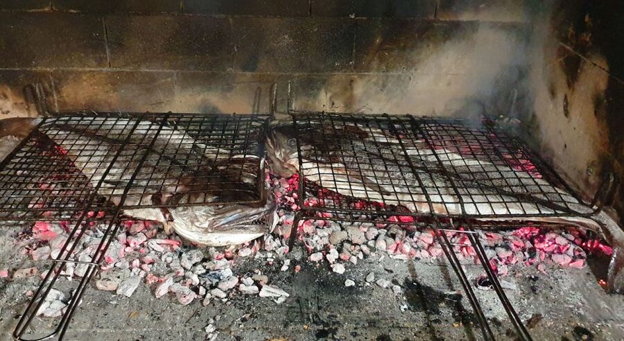 From Split: PRIVATE Deluxe Blue Cave Tour with Grilled Lunch - Why this private Blue Cave day feels like a charter