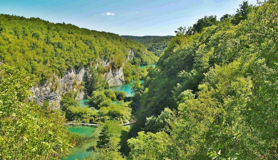 From Split: Private Tour to Plitvice Lakes National Park - Nature context you can actually use while you’re there