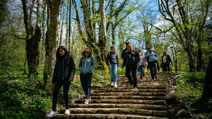 From Split/Trogir/Omiš: Plitvice Lakes Guided Group Tour - Photo time and spotting wild animals, what to expect realistically