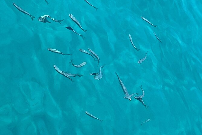 Full Day Boat Tour, Blue Lagoon and Šolta with lunch&drinks - Nečujam Bay and the Kontesa shipwreck: snorkel time with a story