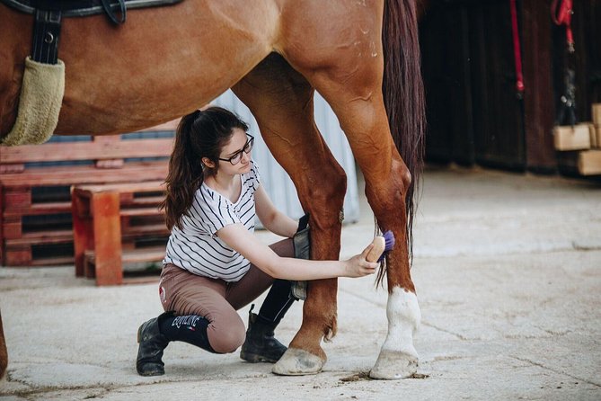 Full day Horse riding & Quad biking - Price and value check: is $424.17 per person reasonable?
