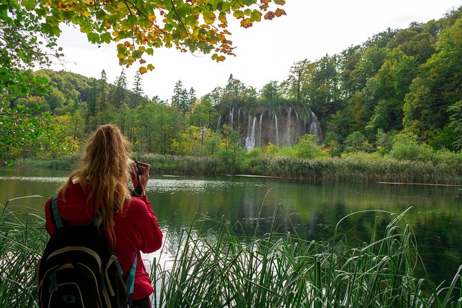 Full-Day Private Plitvice Lakes National Park Tour from Split - Price and what $829.05 per group really buys