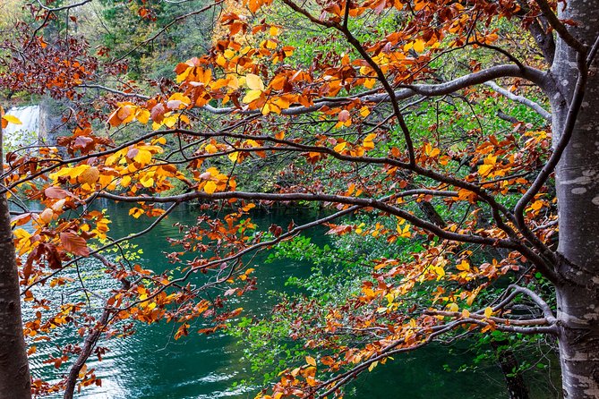 Full-Day Private Plitvice Lakes National Park Tour from Split - The long drive factor: what to expect and how to make it pleasant