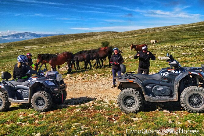 Full-Day Quad and Wild Horses Safari in Livno from Split - Wild horses safari: interaction and photo time in real horse country