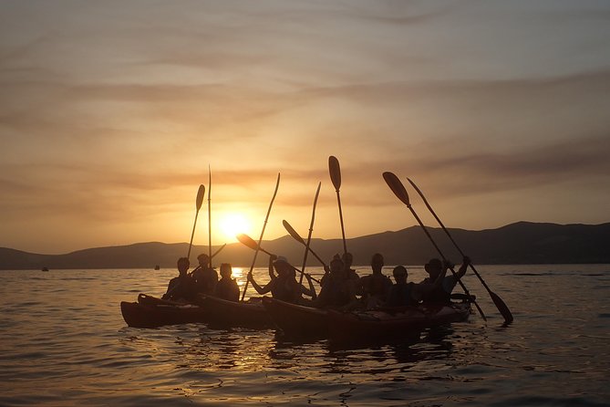 Half-Day Split Sea Kayak Adventure - The swimming stop and optional cliff-jumping break