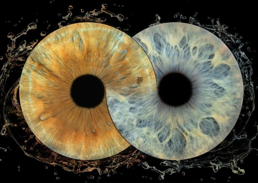 IRIS Photography (macro photo of your eye) - Split’s 10-minute Iris Macro Photo Session, Up Close