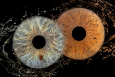 IRIS Photography (macro photo of your eye)