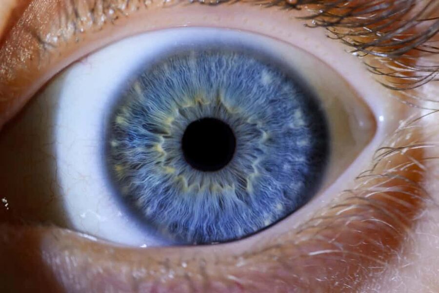 IRIS Photography (macro photo of your eye) - Should You Book This Iris Photography in Split?