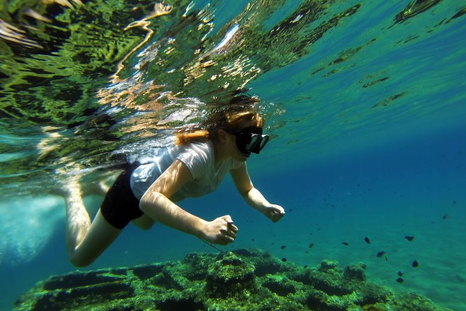 Kayaking and Snorkeling in Omiš - The Beach Finish: A Simple End Point After Two Watersports