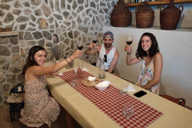 Krka National Park Tour with tour Guide & Wine tasting from Split & Trogir - Cost and Value: What You Pay, What You Get, and How Entrance Fees Change the Total