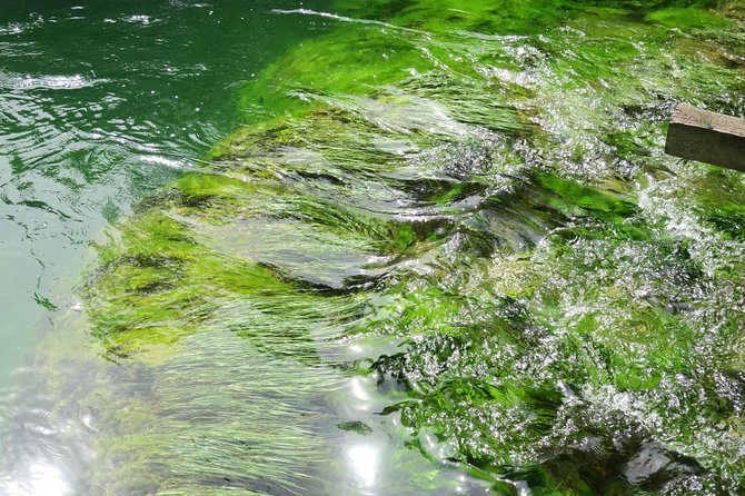 Krka waterfalls luxury tour for singles or couples - Price and what you actually get for $199.53 per person