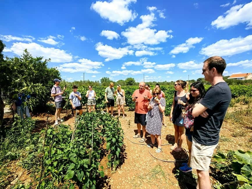 Krka waterfalls tour with lunch from Split - Who should book this Krka waterfalls tour from Split?