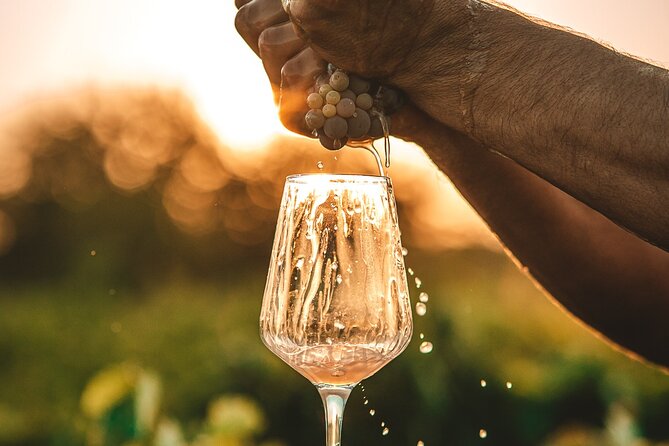 Krka Waterfalls & Wine and Cheese Tasting Tour from Split - Skradin and Vinarija Sladić wine tasting: micro-local bottles plus cheese and olive oil