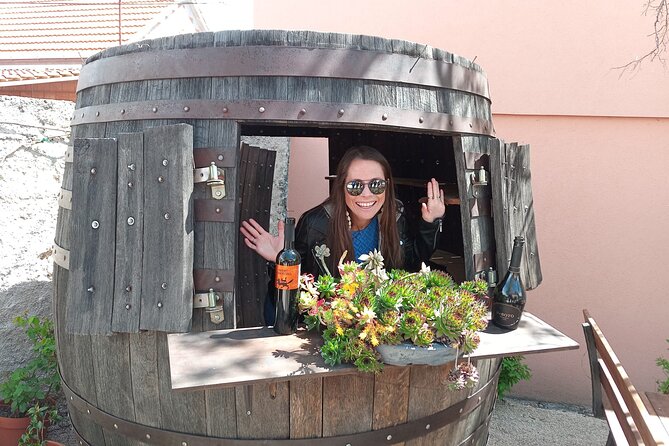 Krka Waterfalls & Wine and Cheese Tasting Tour from Split - Time to swim: how the tour replaces the park no-swim with a beach moment