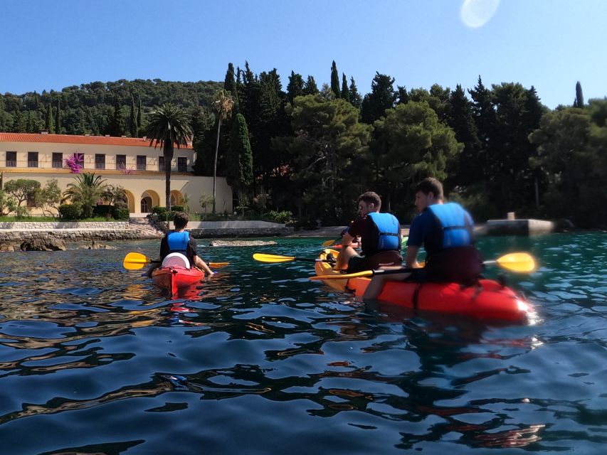 Morning Split Sea Kayaking Tour - Cliff Jumping Option: Decide Based on Conditions, Not Bravado