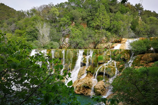 NP Krka waterfalls & Wine tasting - Private day tour from Split - OPG Sladic wine tasting: family hospitality with appetizers that make sense