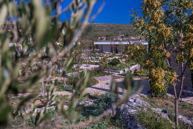 Olive museum Klis with educational olive oil tasting - Who this tour suits best, and who should skip it