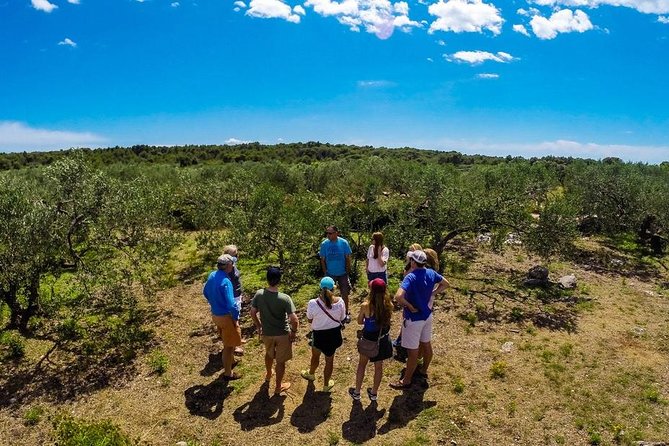 Olive Oil Tour of Solta Island with Lunch - Key points to know before you go