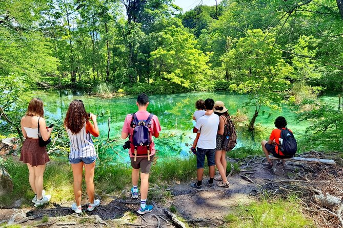Plitvice Lakes Economy Group Tour from Split or Trogir - Getting to Plitvice: comfort, timing, and onboard WiFi